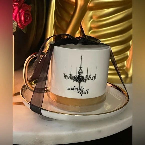 ELEGANCE Midnight Spell Chandelier Cup And Saucer Set 🖤🖤🖤 - Picture 6 of 7